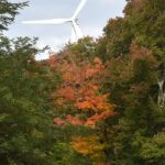 Monongahela National Forest